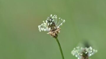 Jak se zbavit akné: Informative přístup