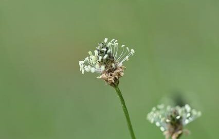 Jak se zbavit akné: Informative přístup