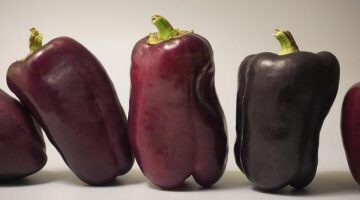 Jak udržet zdraví: nejlepší tipy