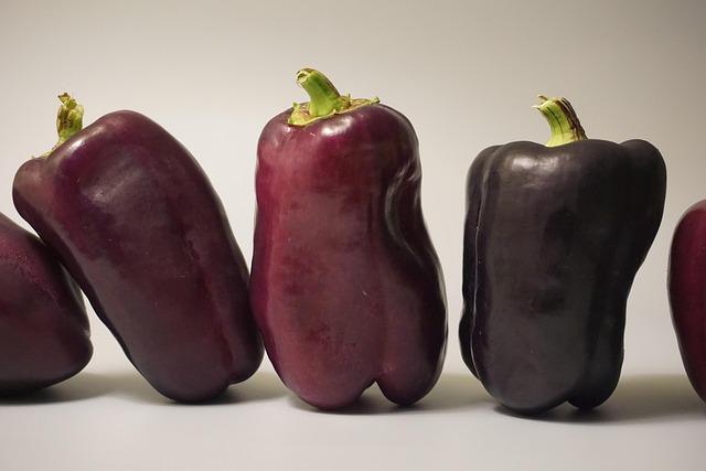 Jak udržet zdraví: nejlepší tipy