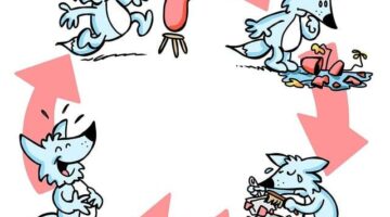 Zvládání jarních alergií: Co dělat?