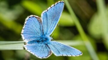 Rozmanitost dekorací v ložnici