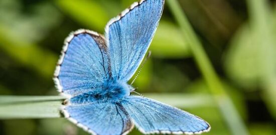 Rozmanitost dekorací v ložnici