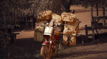 Jak zahradničit efektivně?