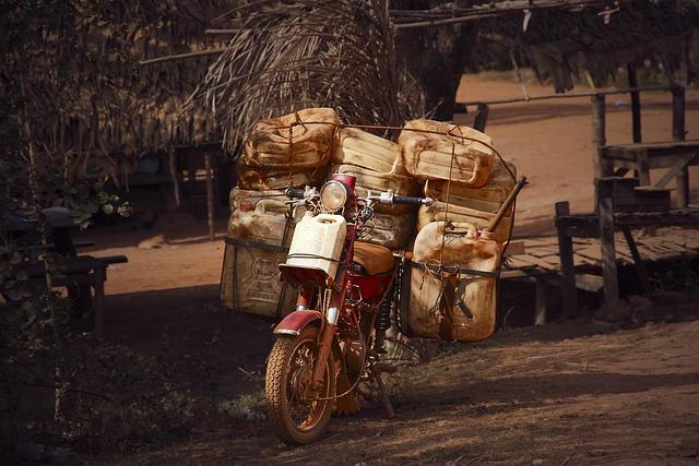 Jak zahradničit efektivně?