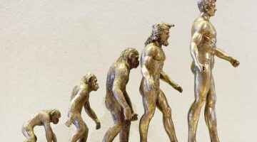 Porozumění alkoholismu: Příčiny a důsledky