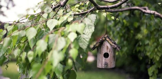Jak si vyrobit ptačí budku z recyklovaného dřeva