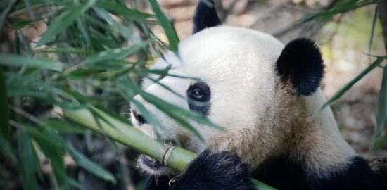 Jak jíst zdravě: rady a tipy