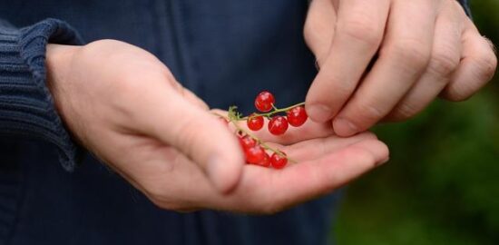5 důležitých faktorů pro zdravé vztahy