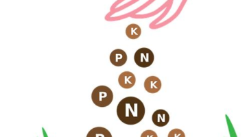 Jak na hnojivo: Informative rady a tipy