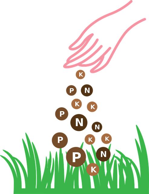 Jak na hnojivo: Informative rady a tipy