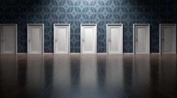 Jak vybrat správné hnojivo – Informative