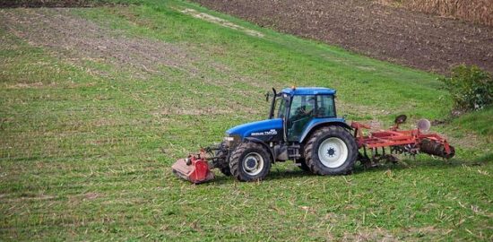 Jak pěstovat bylinky doma – Informative