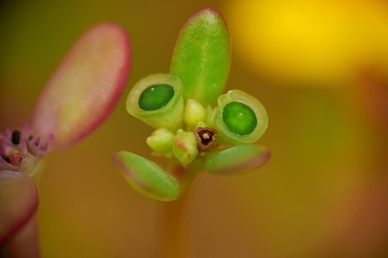 Tipy pro začínajícího hobbyistu