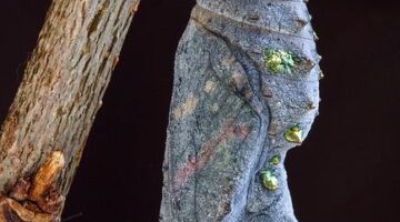 Jak proměnit starou ložnici v moderní útočiště