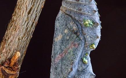 Jak proměnit starou ložnici v moderní útočiště