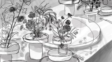 Jak zvolit květináč vhodný pro vaše rostliny