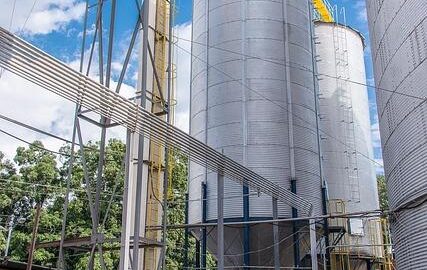 Jak správně skladovat potraviny doma