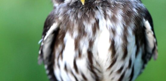 Vztahy: Jak porozumět a udržet je zdravé