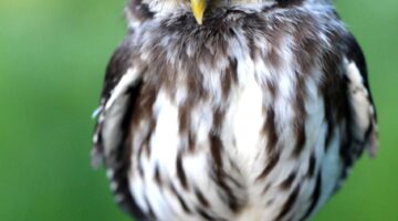 Jak upevňovat vztahy s partnerem