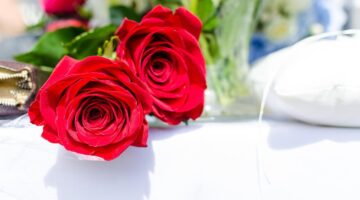 Jak vybrat květinu pro váš interiér