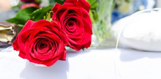 Jak vybrat květinu pro váš interiér