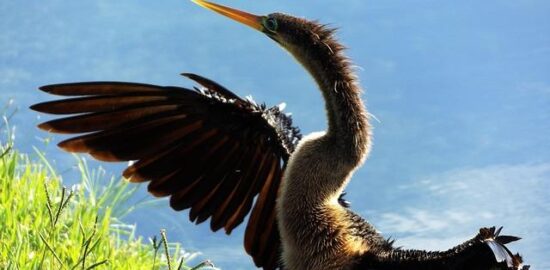 Jak správně užívat antibiotika bez rizika