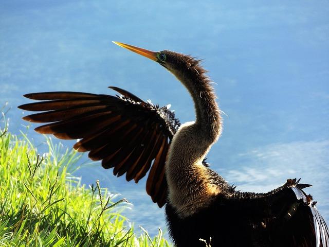 Jak správně užívat antibiotika bez rizika