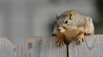 Hledání lásky ve světě moderních technologií