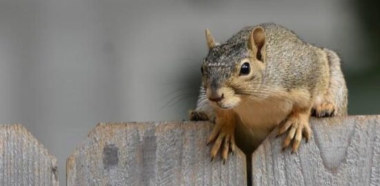 Hledání lásky ve světě moderních technologií