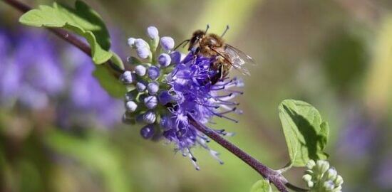 Zahradničení pro začátečníky: Jak na to?