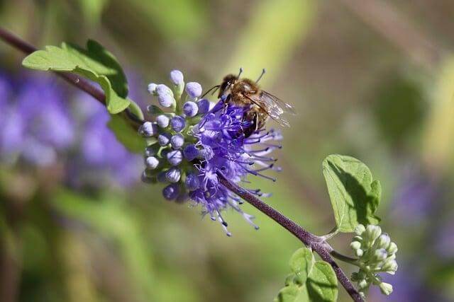 Zahradničení pro začátečníky: Jak na to?