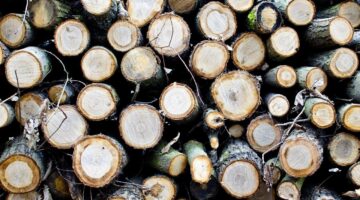 Nábytek pro malé byty: Jak ušetřit prostor?