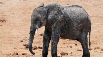 Jak udržet zdravé vztahy: Informative rady