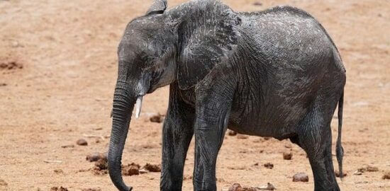 Jak udržet zdravé vztahy: Informative rady