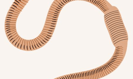 Jak vybrat vhodné hnojivo