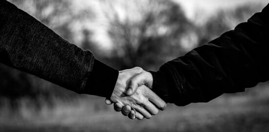 Jak poznat druhy stromů – návod