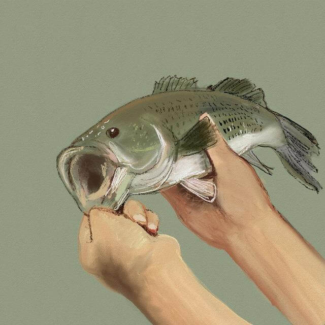 Jak najít hobby, které vám bude bavit?