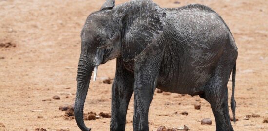 Jak udržet zdraví v optimálním stavu?