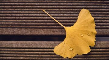 Rady a tipy pro úspěšnou stavbu