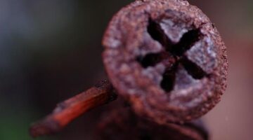 Jak se vyrovnat s nemocí: Informace a rady