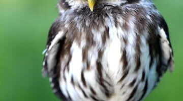 Jak upevnit vztahy ve vztazích mezi přáteli a rodinou